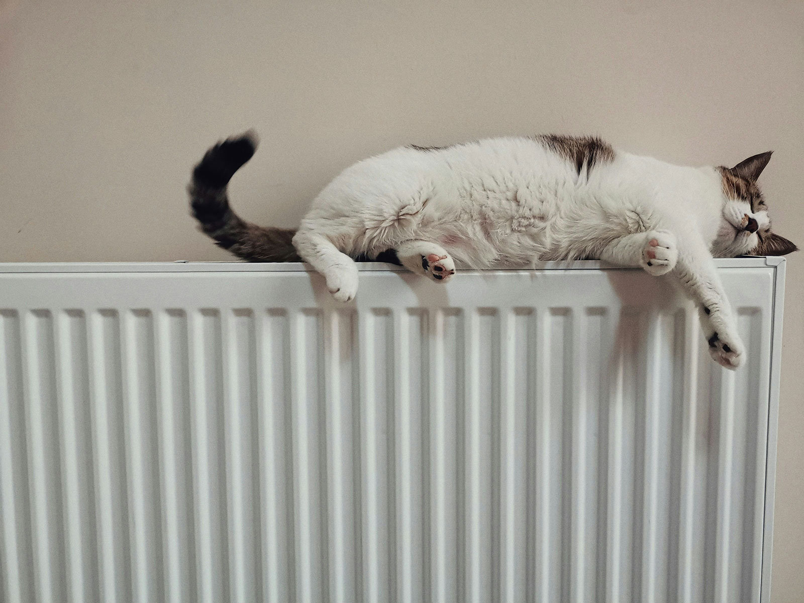 Cleaning your radiator from dust