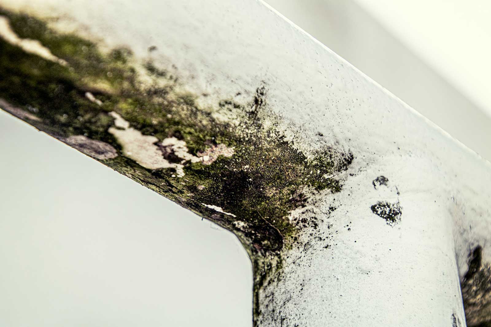 Metal with moss and mould